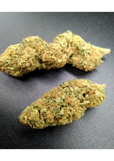 Tangie - CBD 20% - Green House Premium, Cannabis Light