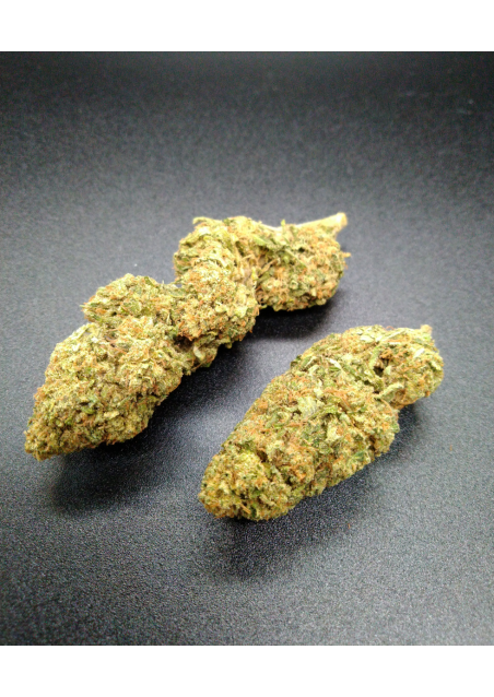 Tangie - CBD 20% - Green House Premium, Cannabis Light