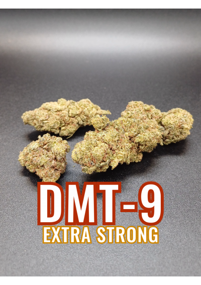 DMT-9 Amnesia Gelato - Extra Forte, DMT9 Indoor Cannabis Flowers