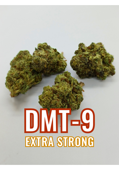 DMT-9 Gelato Cookies - Extra Forte, DMT9 Cannabis Indoor, Cime Grandi, Compatte e Resinose