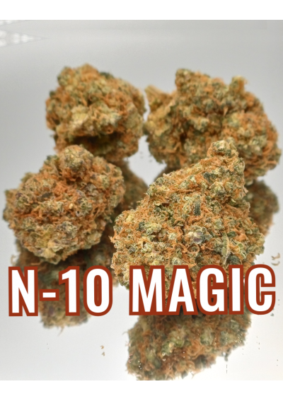 Zenfruit N-10 Magic - Indoor Premium Special Mix, Cannabis Light