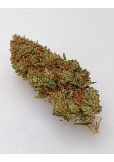 Lemon Haze CBD - Premium Greenhouse (Serra) - Cannabis Light